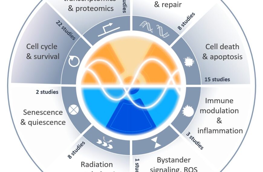 The Foundations of Radiochronobiology launched!