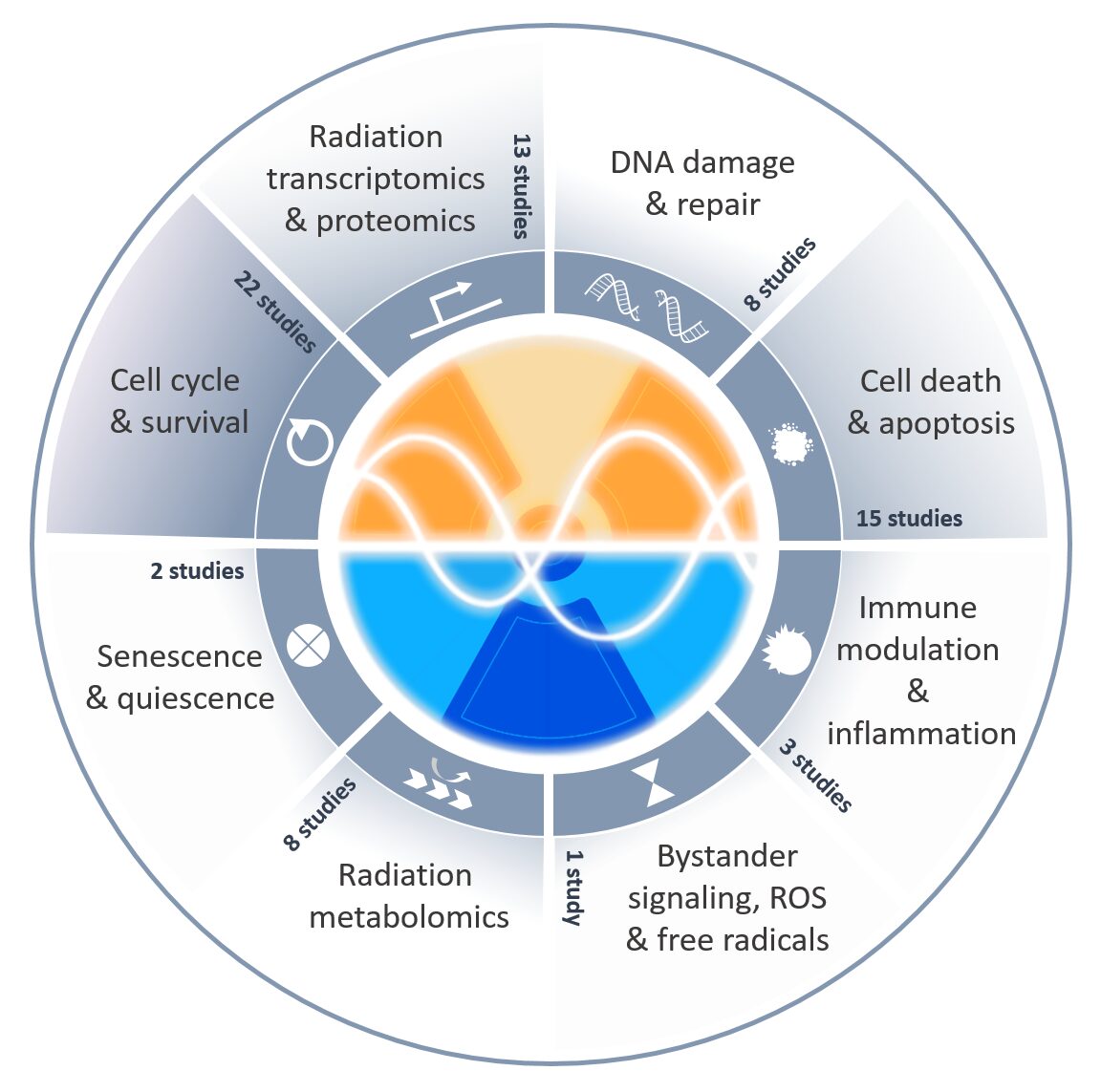 The Foundations of Radiochronobiology launched!